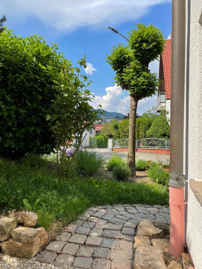 Ferienwohnung Wanderlust Klingenmünster Екстериор снимка